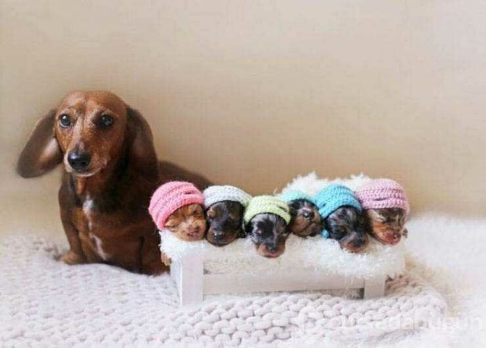 Günün en çok paylaşılan fotoğrafları (12.04.2019)