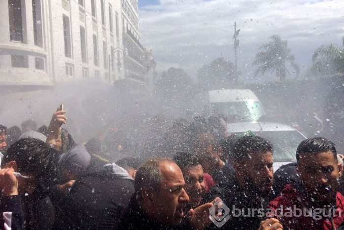  Cezayir'de Buteflika istifa etti ama protestolar sürüyor 