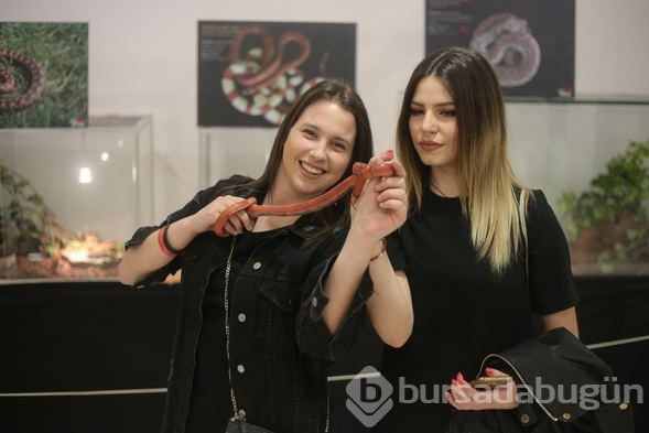 "En zehirli yılanlar" sergisi açıldı
