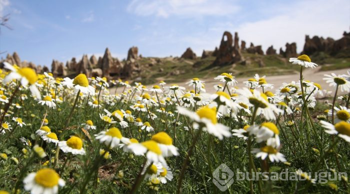 Türkiye'nin önemli turizm merkezlerinden Kapadokya'dan renkli görüntüler.
