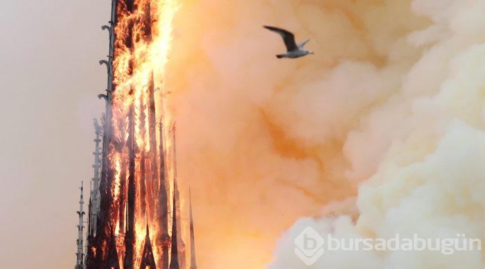 Tarihi Notre Dame Katedrali'nde yangın

