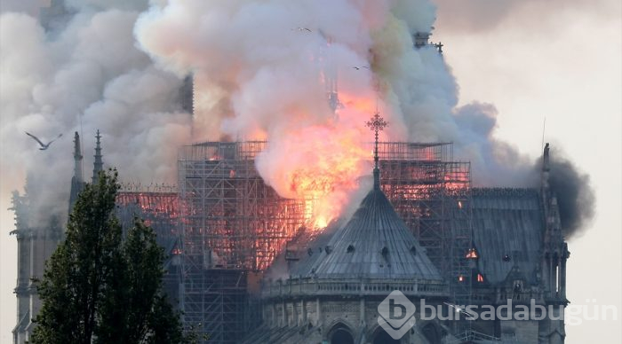 Tarihi Notre Dame Katedrali'nde yangın
