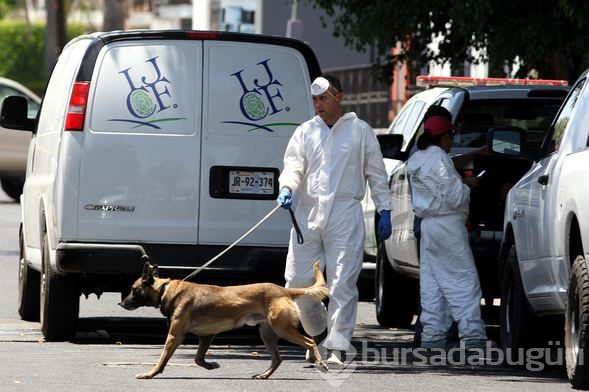 Meksika'da gizli mezarlarda 45 ceset bulundu


