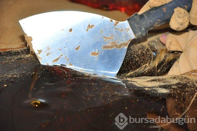 Soğuk algınlığına iyi geliyor, cinsel güce güç katıyor!