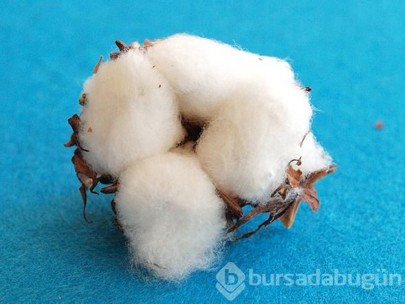 Mutfakta işlerinizi kolaylaştıracak 10 püf noktası
