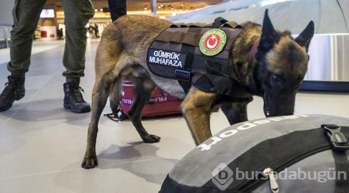 "Janti"den kaçış yok
