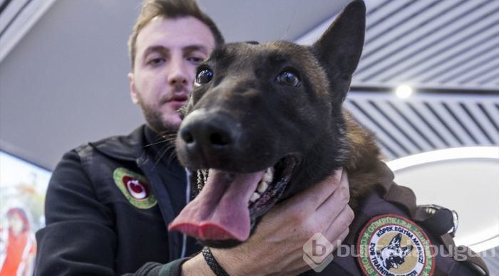 "Janti"den kaçış yok
