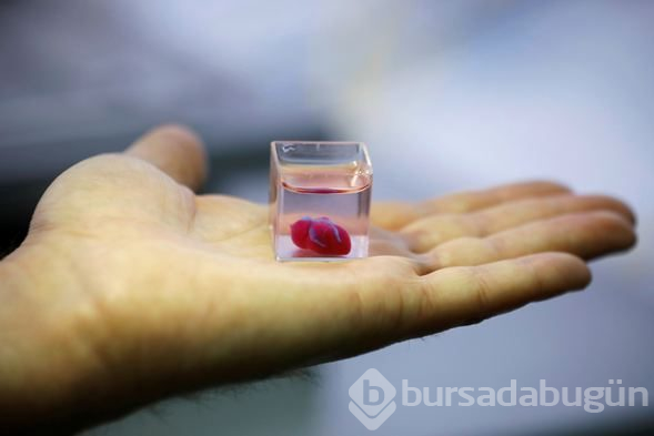 İsrail'de üç boyutlu yazıcıdan insan kalbi yapıldı
