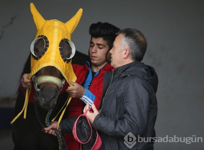 İcralık şampiyona alıcı çıkmadı