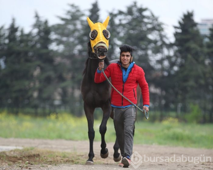 İcralık şampiyona alıcı çıkmadı