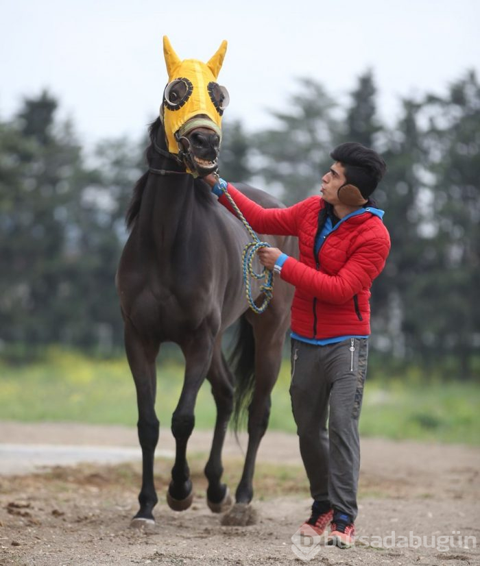 İcralık şampiyona alıcı çıkmadı