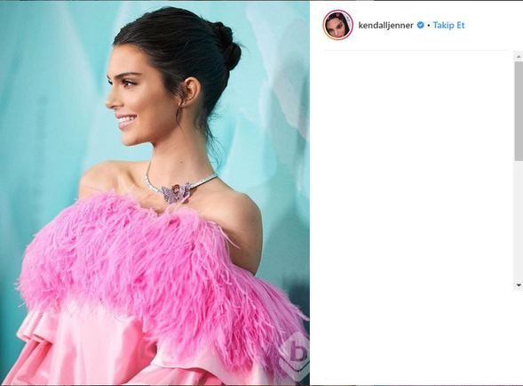 Kendall'a Kennedy'lerden talip çıktı
