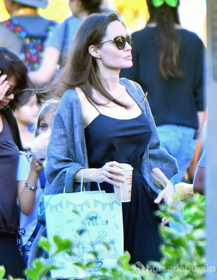 Bir devir kapandı! Angelina Jolie resmi olarak soyadını değiştirdi
