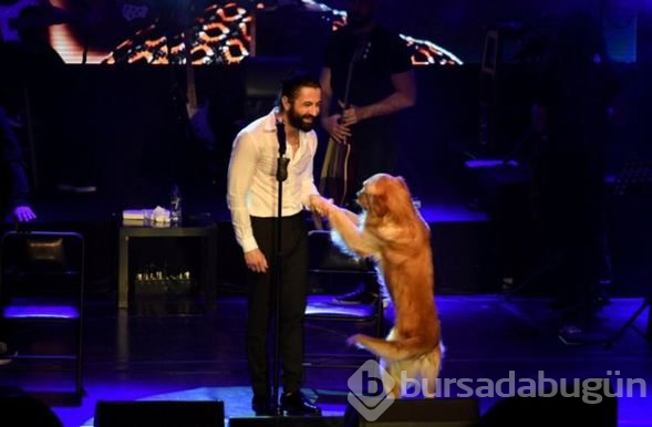 Koray Avcı: Hayvanlığa lüzum yok
