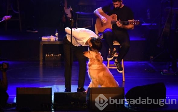 Koray Avcı: Hayvanlığa lüzum yok
