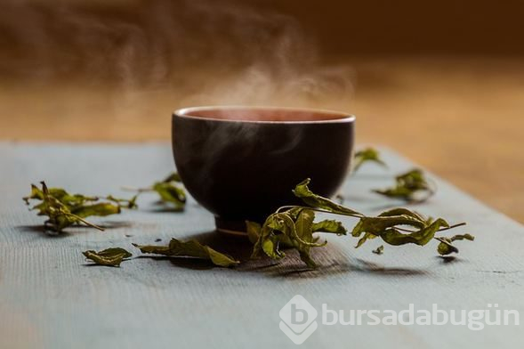 Yeşil çayın bu faydalarını biliyor muydunuz?
