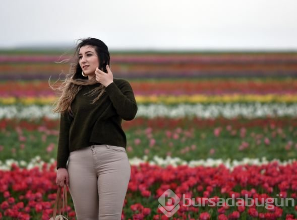 Konya'daki lale tarlasına turistler akın etti
