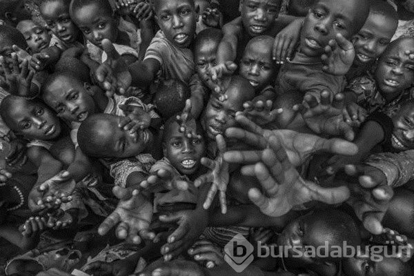2017'nin ödüllü fotoğrafları
