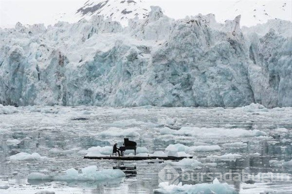 2017'nin ödüllü fotoğrafları
