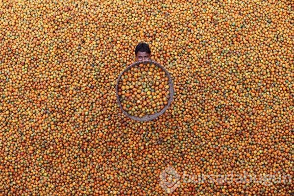 2017'nin ödüllü fotoğrafları
