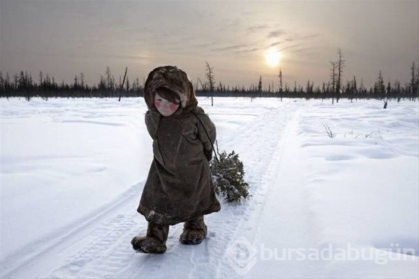 2017'nin ödüllü fotoğrafları
