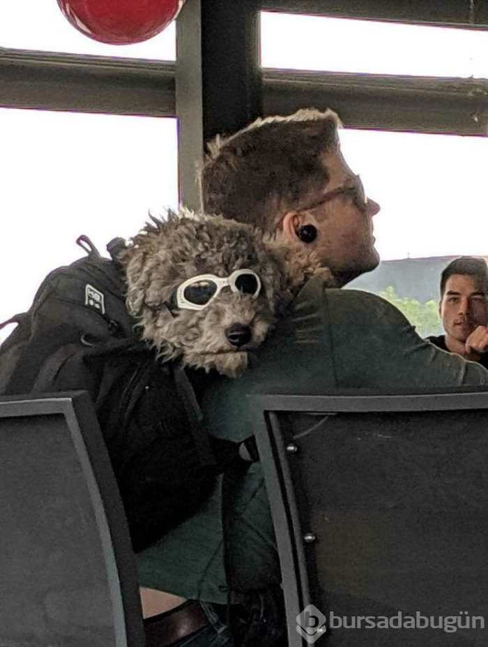 Günün en çok paylaşılan fotoğrafları (18.04.2019)