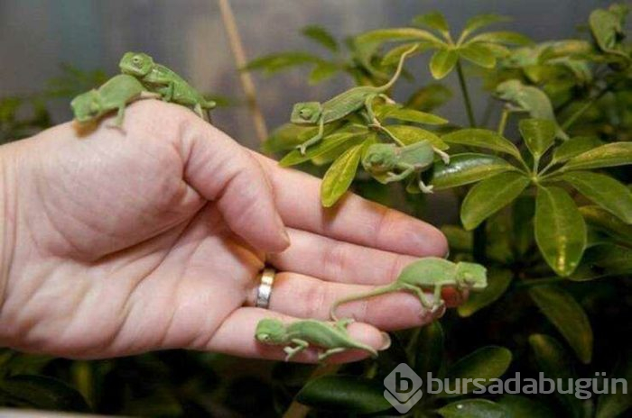 Günün en çok paylaşılan fotoğrafları (18.04.2019)