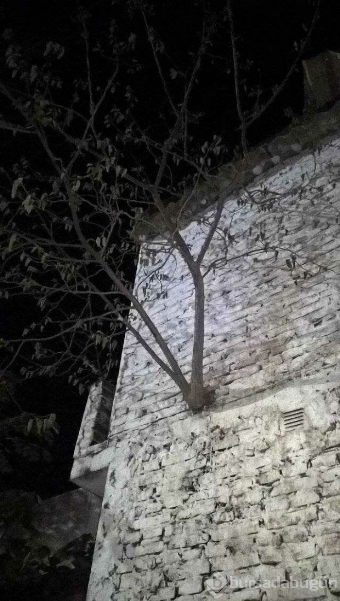 Günün en çok paylaşılan fotoğrafları (18.04.2019)