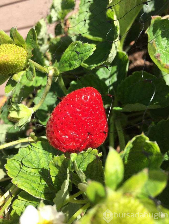 Günün en çok paylaşılan fotoğrafları (18.04.2019)
