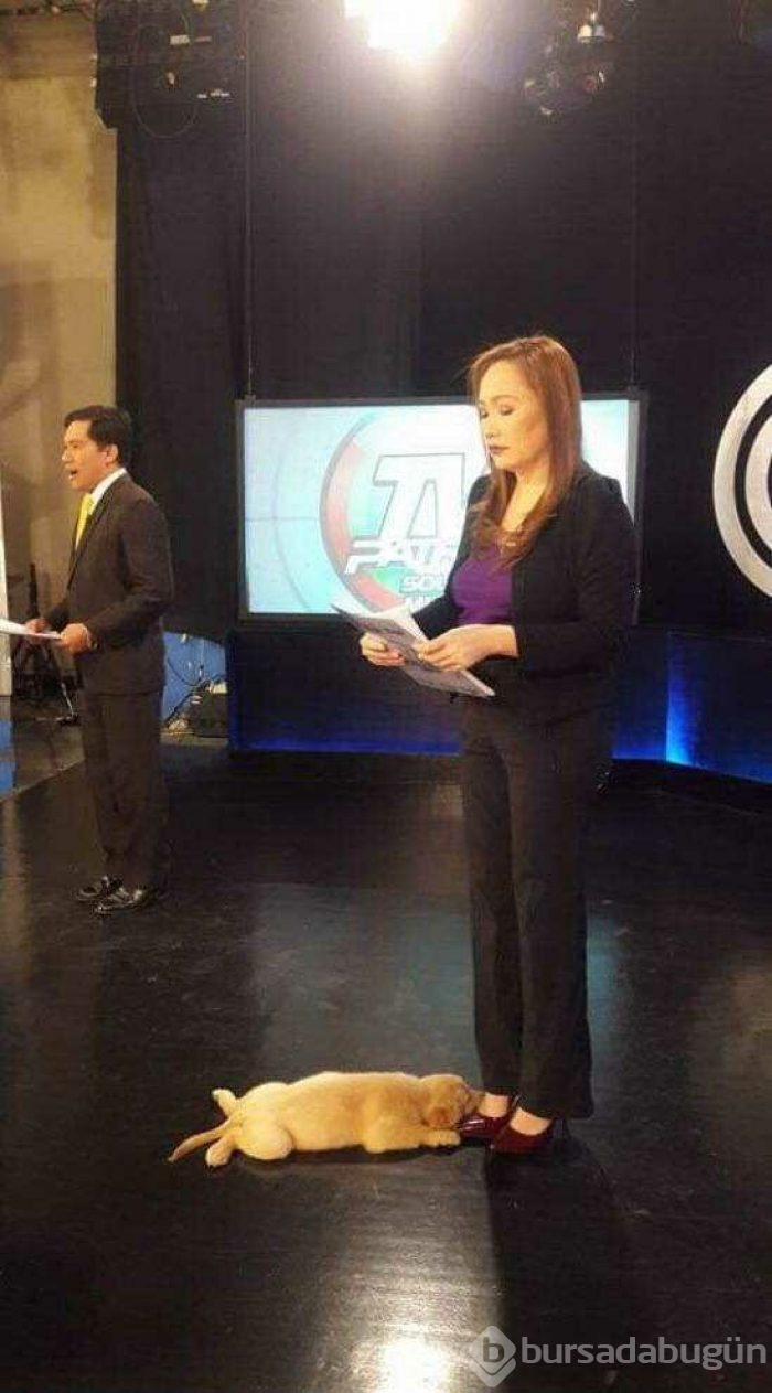 Günün en çok paylaşılan fotoğrafları (18.04.2019)