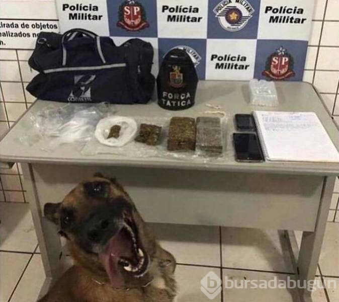 Günün en çok paylaşılan fotoğrafları (18.04.2019)