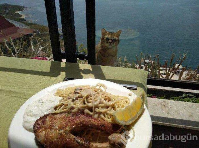 Günün en çok paylaşılan fotoğrafları (18.04.2019)