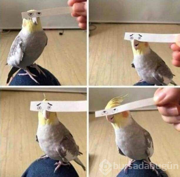 Günün en çok paylaşılan fotoğrafları (18.04.2019)