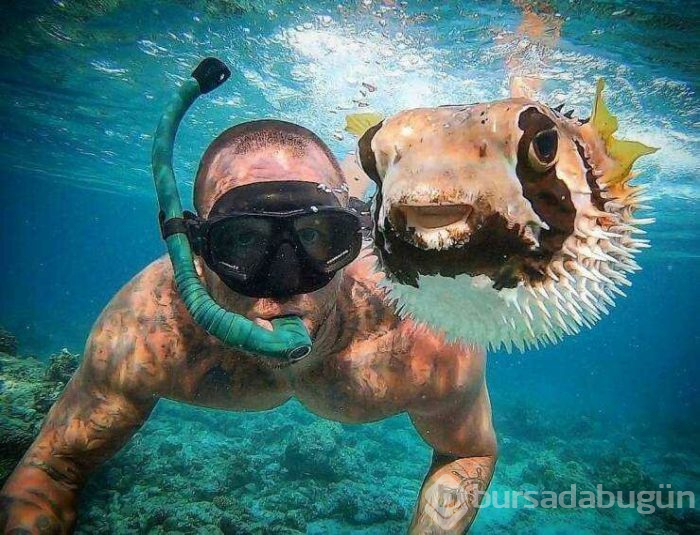 Günün en çok paylaşılan fotoğrafları (18.04.2019)