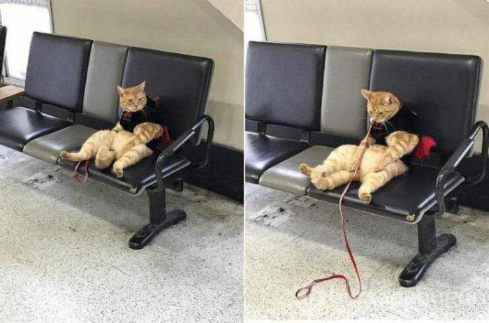 Günün en çok paylaşılan fotoğrafları (18.04.2019)