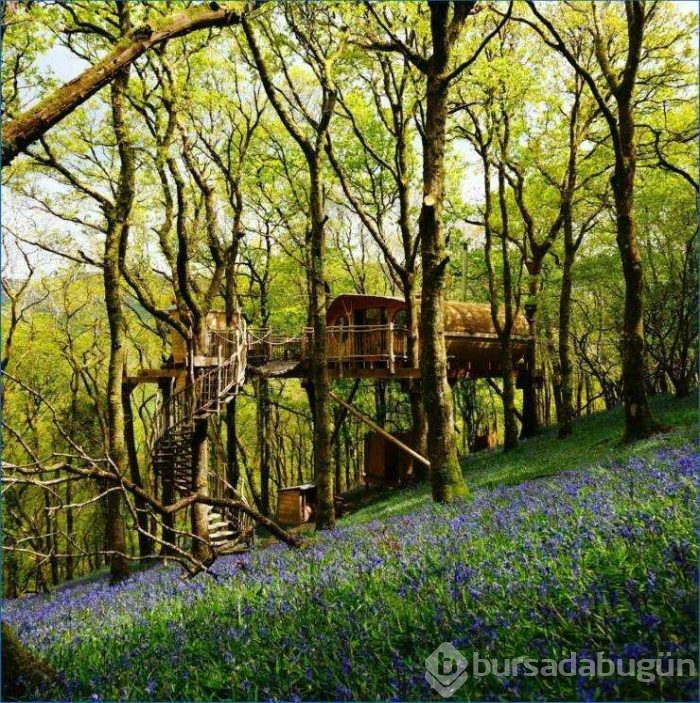 Günün en çok paylaşılan fotoğrafları (19.04.2019)