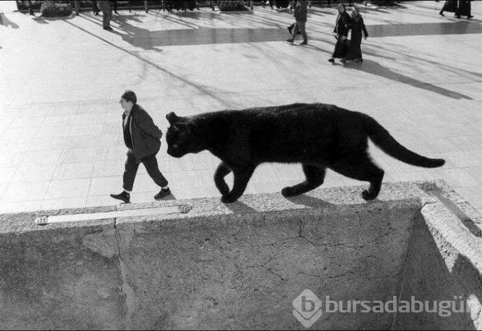 Günün en çok paylaşılan fotoğrafları (19.04.2019)