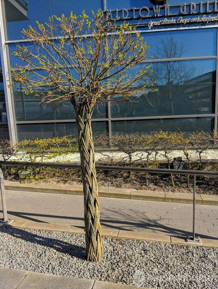 Günün en çok paylaşılan fotoğrafları (19.04.2019)