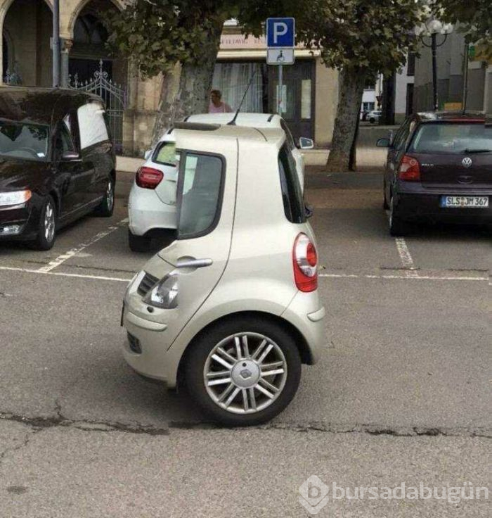 Günün en çok paylaşılan fotoğrafları (19.04.2019)