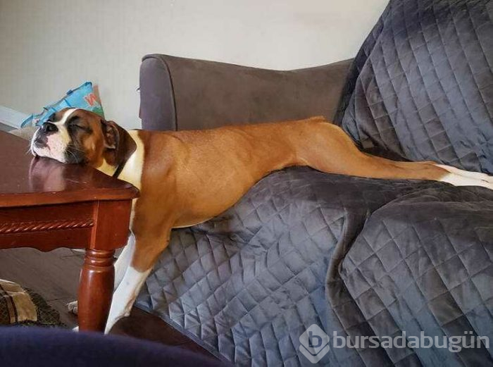 Günün en çok paylaşılan fotoğrafları (19.04.2019)