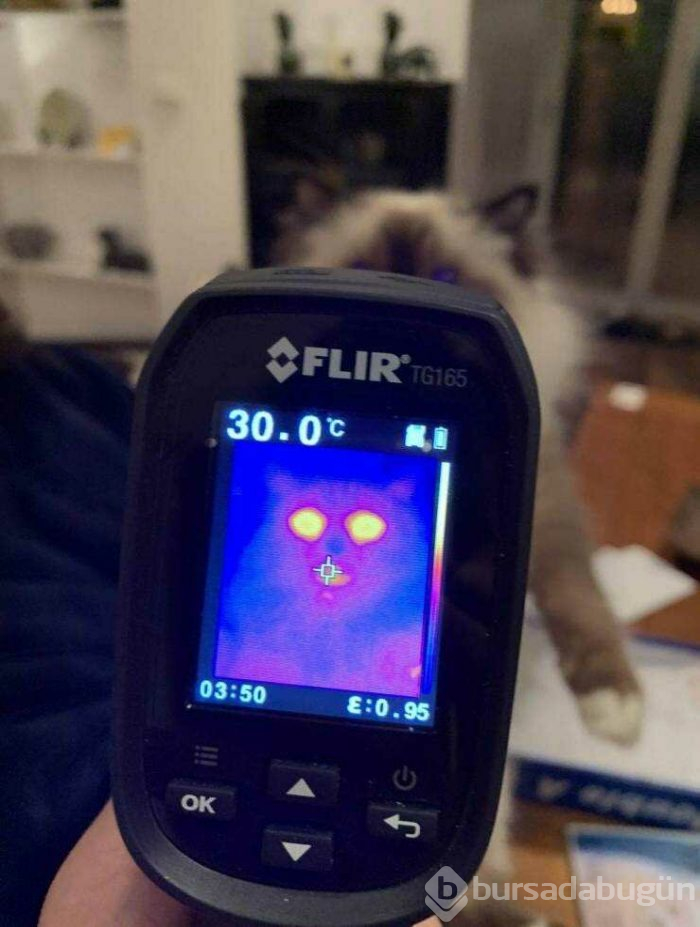 Günün en çok paylaşılan fotoğrafları (19.04.2019)