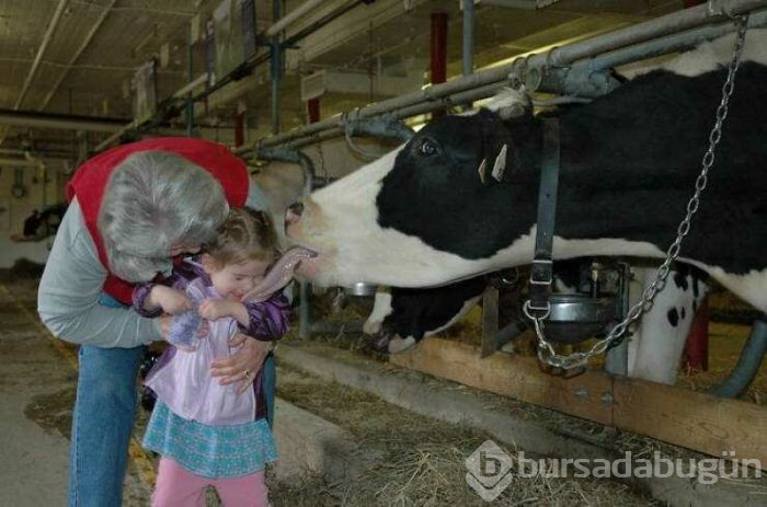 Günün en çok paylaşılan fotoğrafları (19.04.2019)