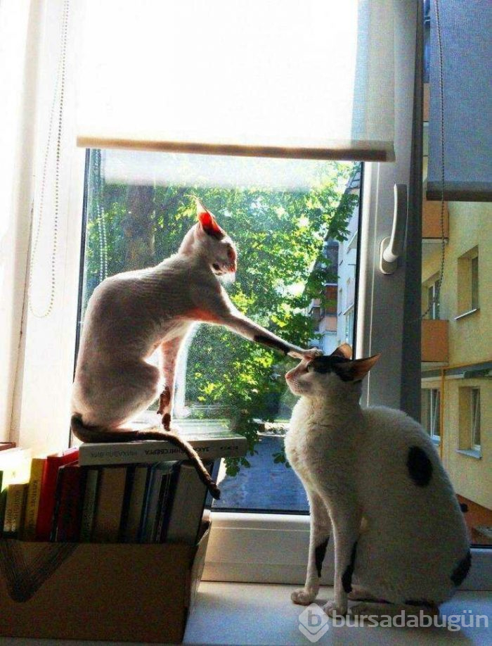Günün en çok paylaşılan fotoğrafları (19.04.2019)
