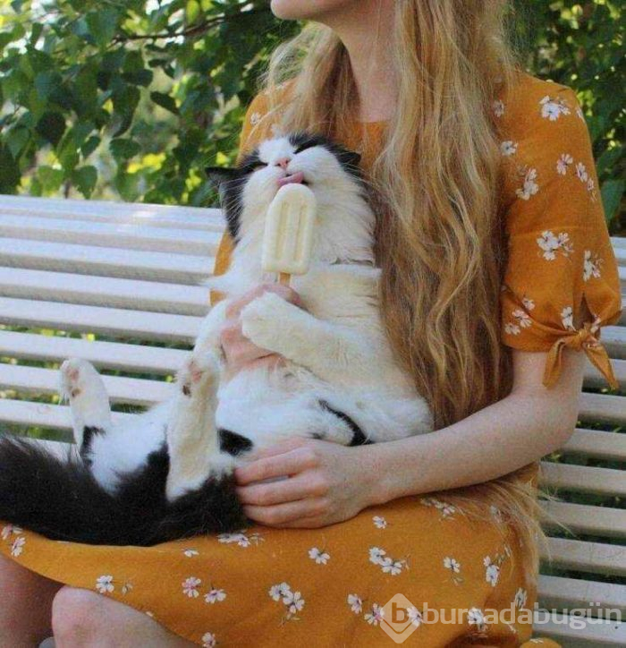 Günün en çok paylaşılan fotoğrafları (19.04.2019)