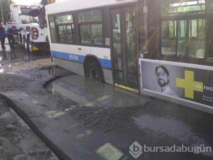 Günün en çok paylaşılan fotoğrafları (19.04.2019)