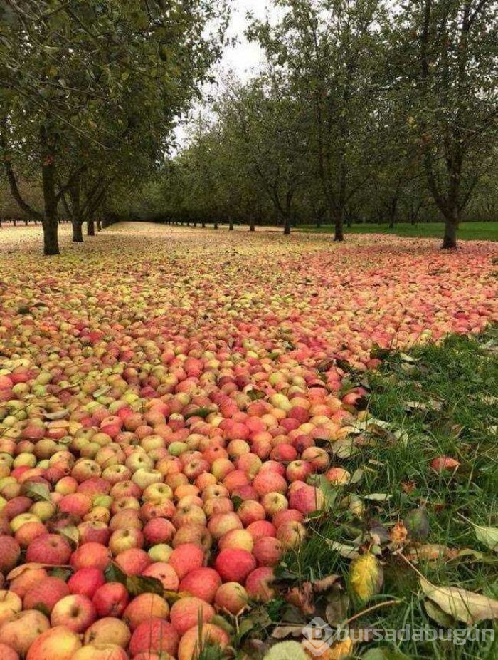 Günün en çok paylaşılan fotoğrafları (19.04.2019)