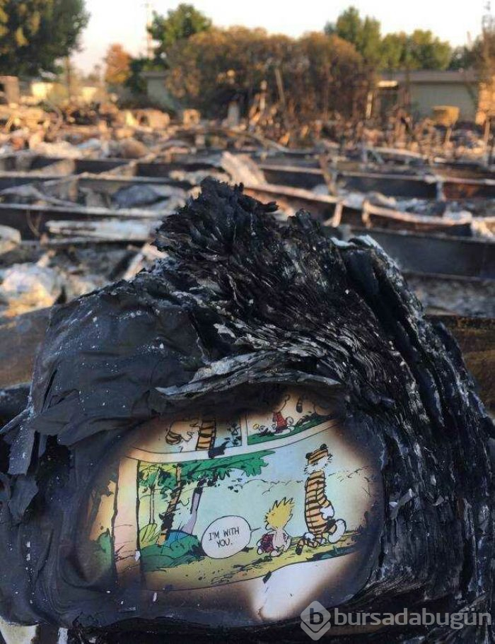 Günün en çok paylaşılan fotoğrafları (19.04.2019)