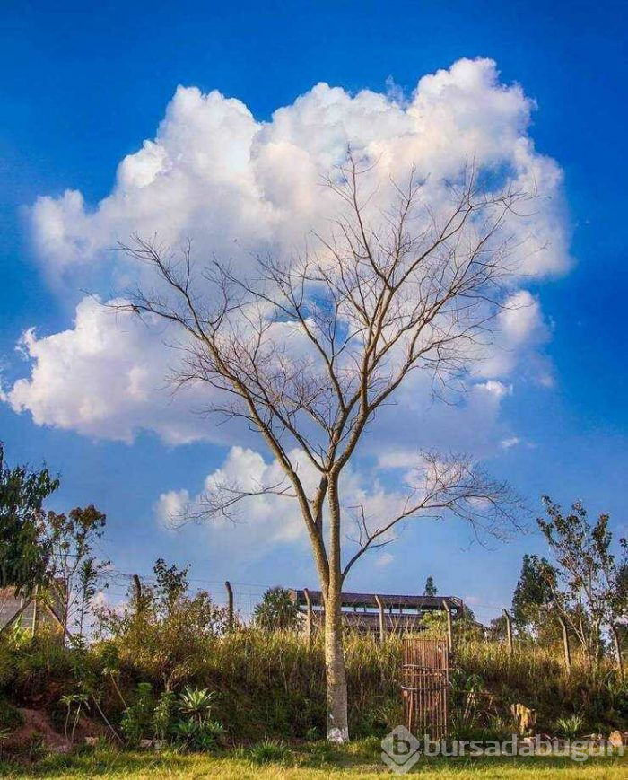 Günün en çok paylaşılan fotoğrafları (19.04.2019)
