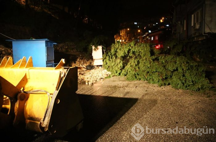 Hatay'da sağanak hayatı felç etti
