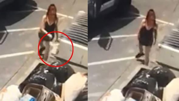 İnsanlık dışı olay: Köpek yavrulaını canlı canlı çöpe attı!
